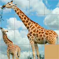Animals Slide Puzzle Game