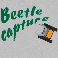 Beetle capture Game