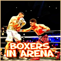 Boxers in Arena Game