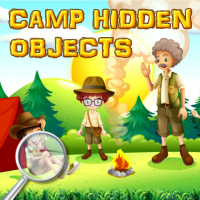 Camp Hidden Objects Game