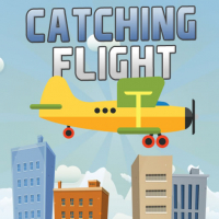 Catching Flight Game