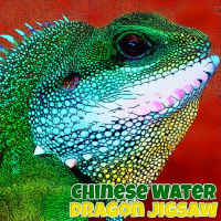 Chinese Water Dragon Jigsaw Game