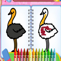 Coloring Birds Game Game