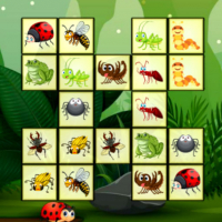 Connect The Insects Game