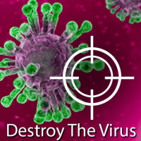 Destroy The Virus Game