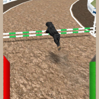 Dog Racing Simulator Game