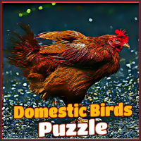 Domestic Birds Puzzle Game
