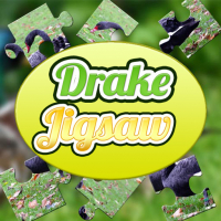 Drake Jigsaw Game