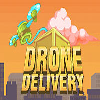 Drone Delivery Game
