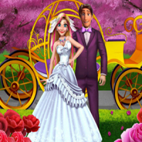 Eugene and Rachel Magical Wedding Game