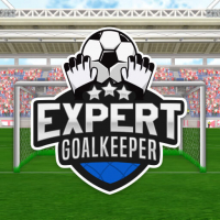 Expert Goalkeeper Game