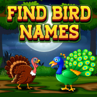 Find Birds Names Game