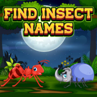 Find Insects Names Game