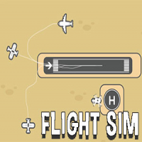 Flight Sim Game