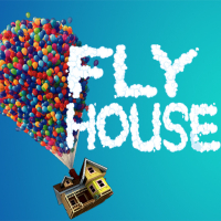 Fly House Game