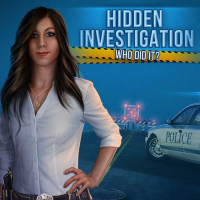 Hidden Investigation: Who Did it? Game