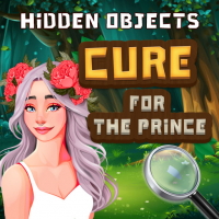 Hidden Objects Cure For The Prince Game