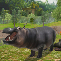 HIPPO Hunting Sniper Shooter Game