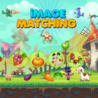 Image Matching Educational Game Game