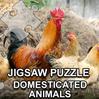 Jigsaw Puzzle Domesticated Animals Game