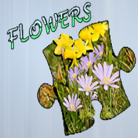 Jigsaw Puzzle: Flowers Game