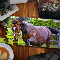 Jigsaw Puzzle Horses Edition Game