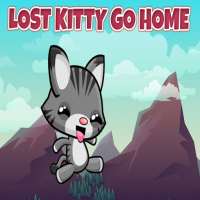 Lost Kitty Go Home Game
