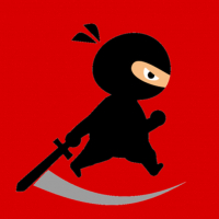 Mr Ninja Fighter Game