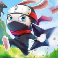 Ninja Rabbit Game