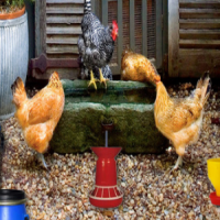 Poultry Farm Easter Escape Game