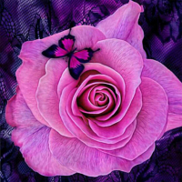 Purple Roses Puzzle Game