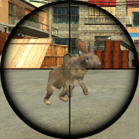 Rabbit Shooter Game
