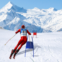Slalom Ski Simulator Game