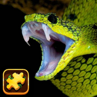 Snake Puzzle Challenge Game