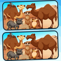 Spot 5 Differences Deserts Game