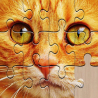 Unlimited Puzzles Game