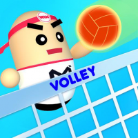 Volley Beans 3D Game