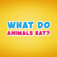 What do animals eat Game