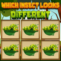 Which Insect Looks Different Game