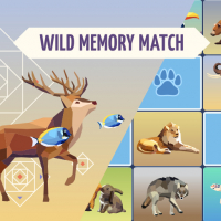 Wild Memory Game