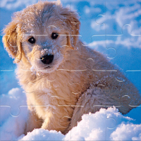 Winter Pets Puzzle Game
